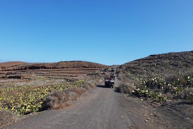 3-Hour Buggy Tour From Costa Teguise - Driving License Requirements