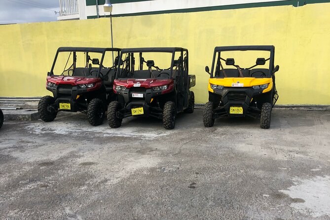 3-Hour Buggy Tour of New Providence (Inclusive of Water & Local Deserts) - Driver Requirements and Restrictions