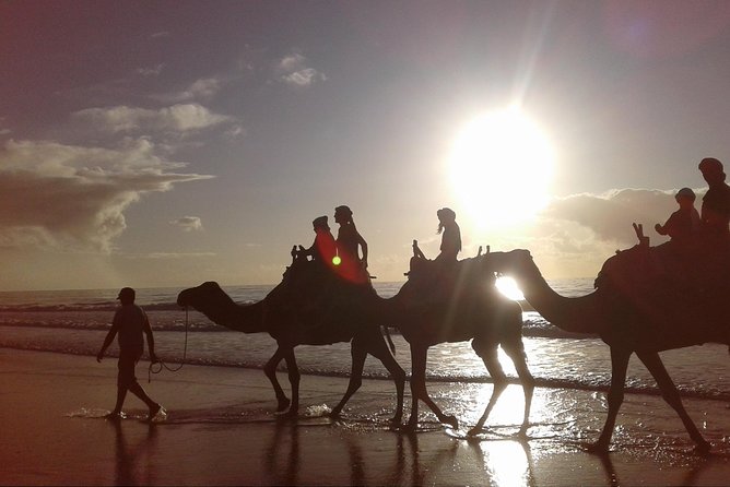 3-Hour Camel Ride at Sunset - Pickup and Meeting Options
