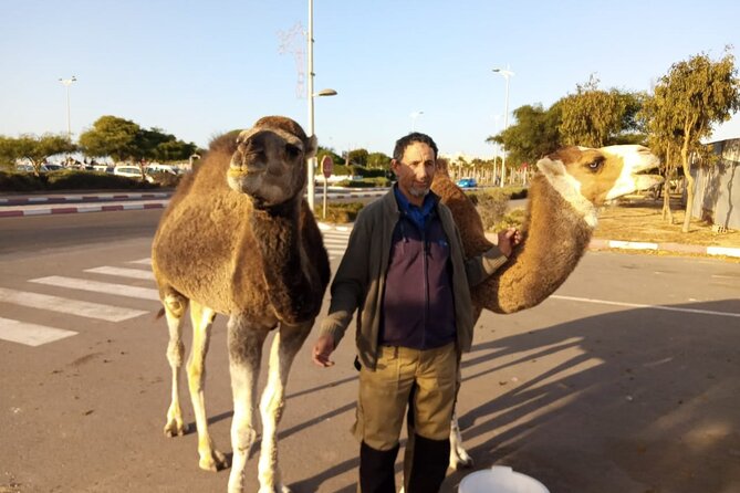 3-Hour Camel Ride at Sunset - Suitability and Restrictions
