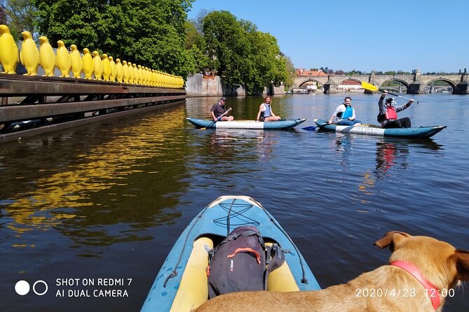 3 Hour Canoe Tour in Prague Centre - Tour Capacity and Fitness Level