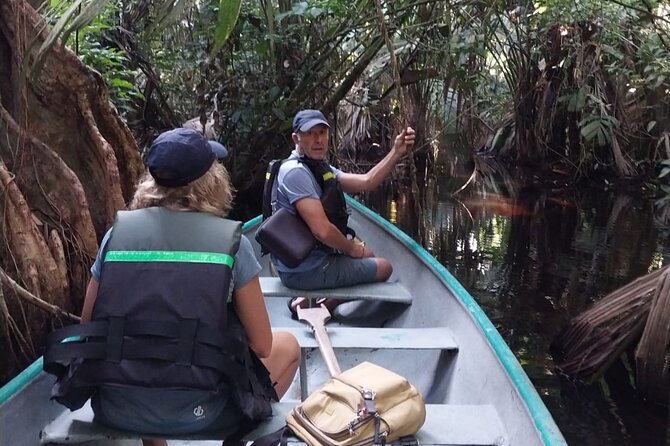3-Hour Canoe Tour Through Tortuguero National Park - Meeting and Pickup