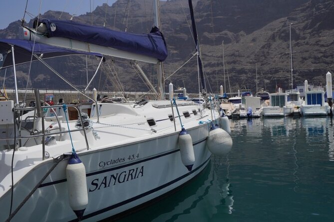 3-Hour Cetacean Watching and Snorkeling Tour in Tenerife - Meeting and Pickup Options