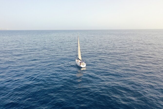 3-Hour Cetacean Watching and Snorkeling Tour in Tenerife - Tour Duration and Group Size
