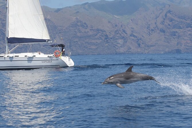 3-Hour Cetacean Watching and Snorkeling Tour in Tenerife - Pricing and Availability