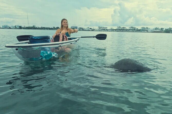 3-Hour Clear Kayak Beach Hopping Adventure in Sarasota - An In-Depth Look at Sarasota’s Clear Kayak Adventure