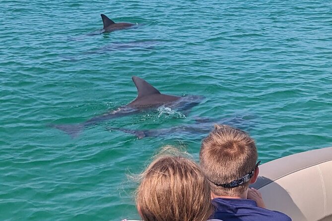 3 Hour Crab Island and Harbor Tour From Destin Non-Private - Tour Overview and Details