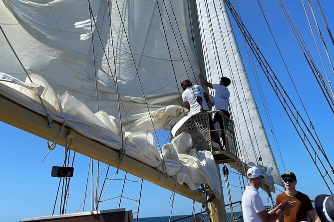 3 Hour Cruise Experience From Vilamoura - Meeting and Pickup Details