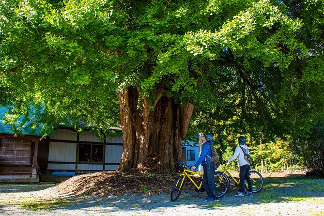 3 Hour Cycling Tour in Kakunodate - Exploring Kakunodate by Bicycle