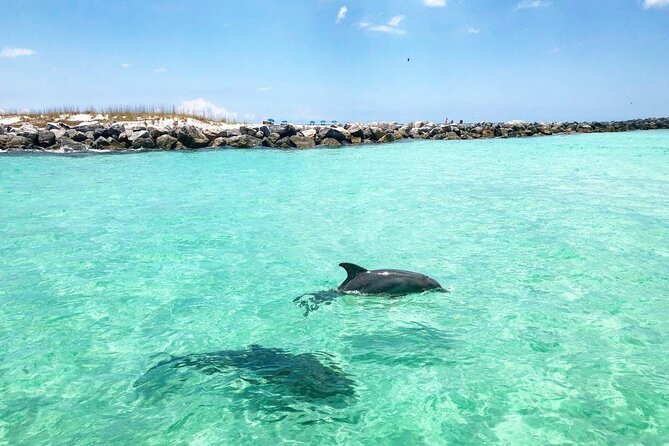 3 Hour Dolphin Tour and Snorkeling in Shell Island - Inclusions