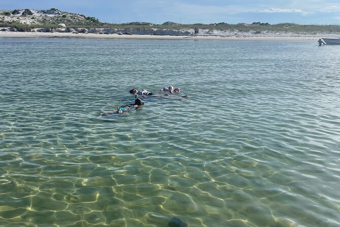 3 Hour Dolphin Tour and Snorkeling in Shell Island - Private Tour