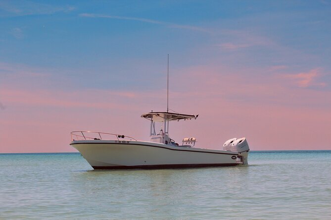 3 Hour Dolphin Tour and Snorkeling in Shell Island - Weather Contingencies