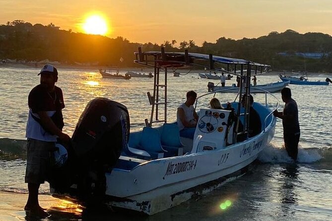 3-Hour Dolphin Watching Experience in Puerto Escondido - Possible Wildlife Sightings