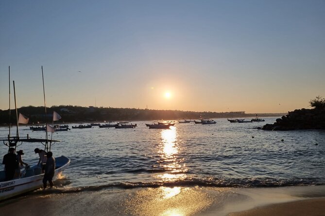 3-Hour Dolphin Watching Experience in Puerto Escondido - Review Highlights