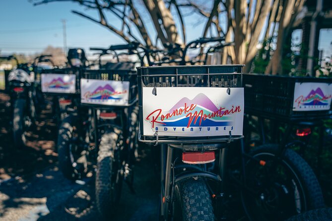 3-Hour E-Bike Sightseeing and Breweries Tour in Roanoke - Group Size Limitation