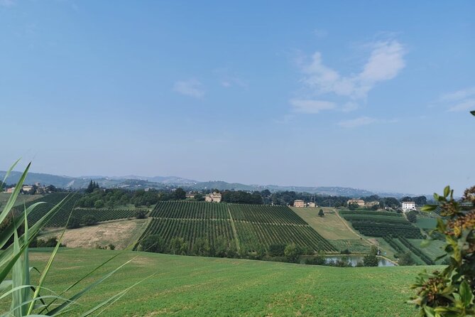 3 Hour E-Bike Tour With Parmesan and Balsamic Vinegar - Parmigiano Reggiano DOP Tasting