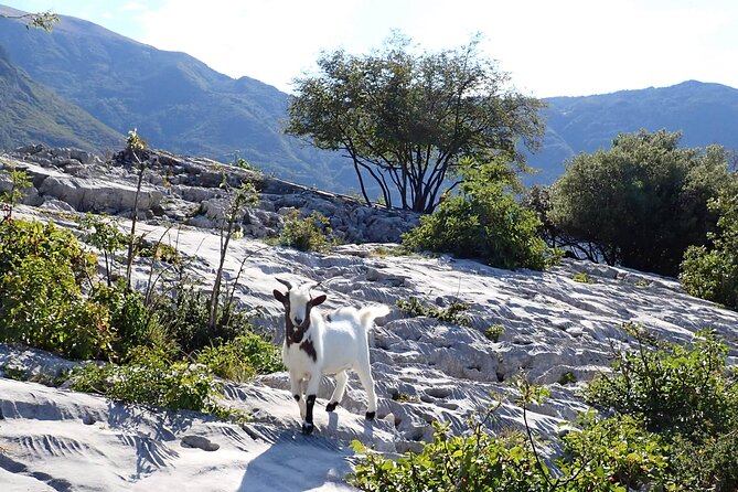 3-Hour Easy via Ferrata to Sentiero Colodri for Whole Family - Tour Suitability and Restrictions
