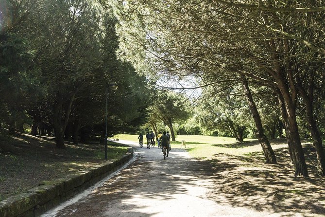 3-Hour Electric Porto Bike Tour - Participant Feedback