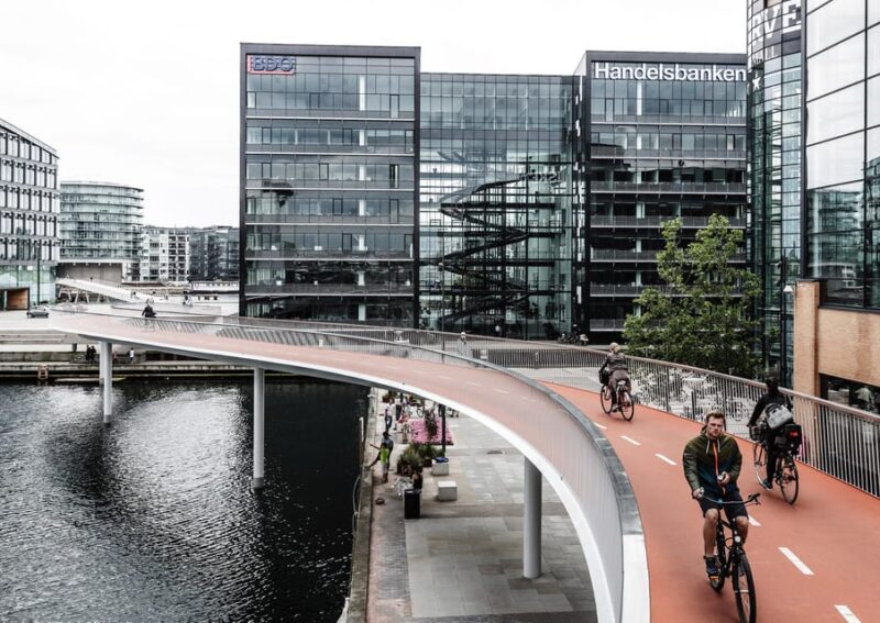 3-hour Essence of Copenhagen E-bike Tour - Good To Know