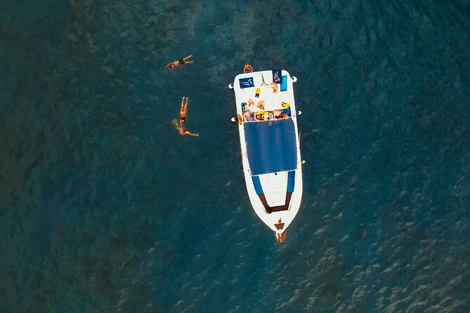 3-Hour Excursion to Puerto Colón Adeje to See Whales - Thrilling Encounters With Marine Life