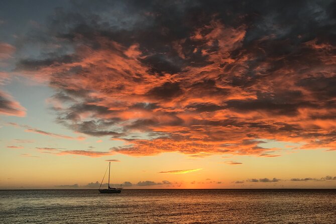 3 Hour Glow Worm Sunset Cruise From Providenciales - Natural Phenomenon of Glow Worms
