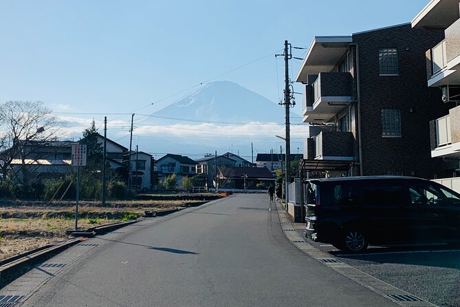 3-Hour Gotemba Food and Nightlife Izakaya Walking Tour - Local Restaurants