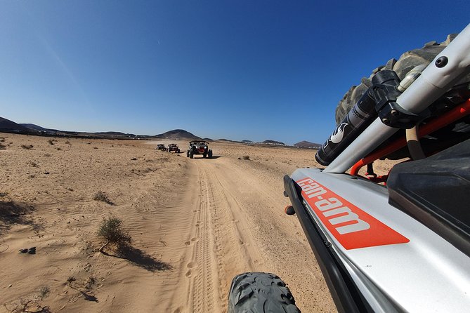 3 Hour Guided Buggy Tour Around the Island of Lanzarote - Meeting and End Points