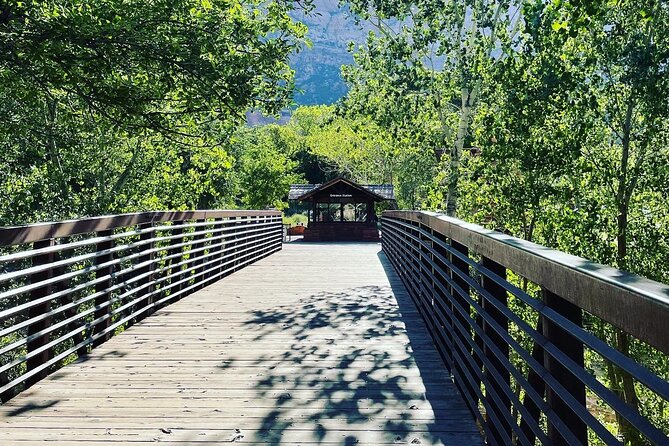 3 Hour Guided E Bike Tour in Zion National Park - Meeting and End Points