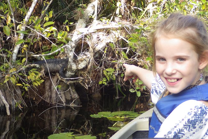 3 Hour Guided Mangrove Tunnel Kayak Eco Tour - What to Expect