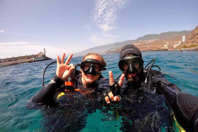3-Hour Guided PADI Scuba Diving Experience in Tenerife - Meeting Point and Schedule