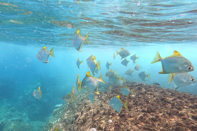 3 Hour Guided Scuba Diving in Trincomalee - Preparing for the Dive