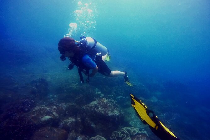 3 Hour Guided Scuba Diving in Trincomalee - What to Expect Underwater