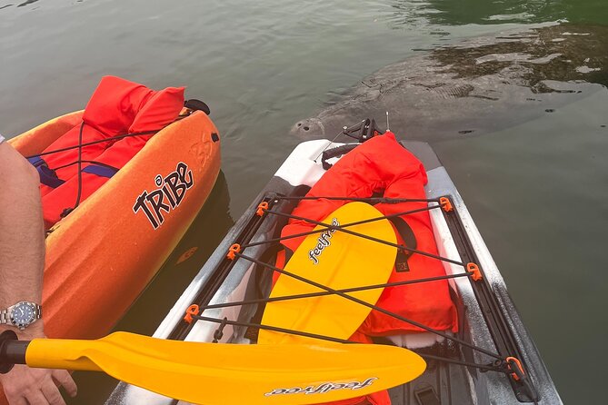 3 Hour Guided Single Kayak Adventure - Meeting and End Points