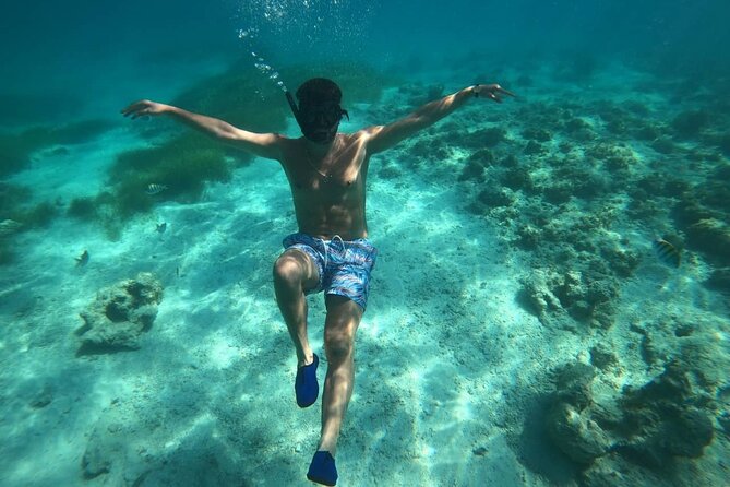 3-Hour Guided Snorkeling and Boat Party in Punta Cana - About Your Stay