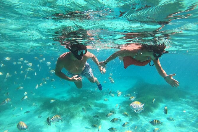 3-Hour Guided Snorkeling and Boat Party in Punta Cana - Snorkeling Equipment and Inclusions