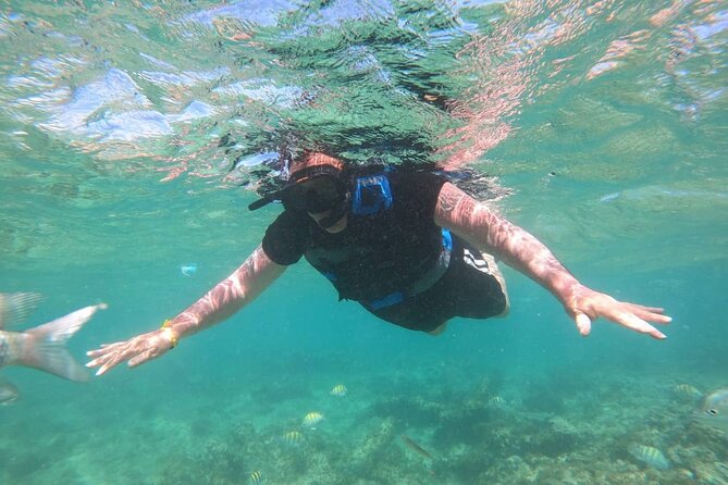 3-Hour Guided Snorkeling and Boat Party in Punta Cana - Exploring the Underwater World