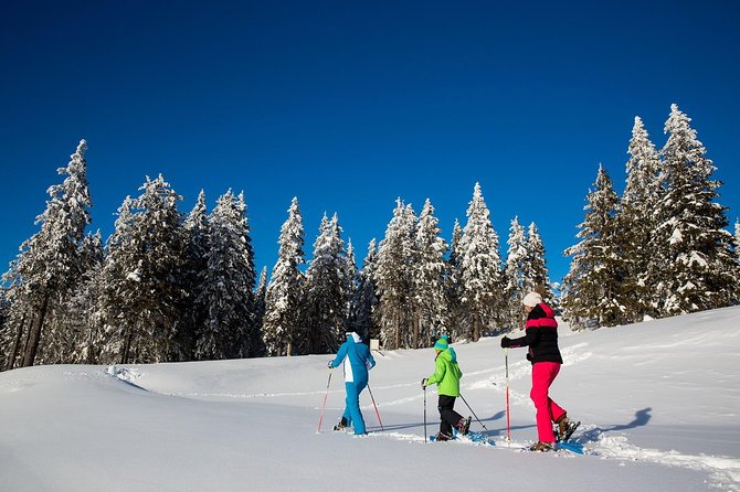 3-Hour Guided Snowshoeing Adventure in the Slovenian Alps - About Your Stay