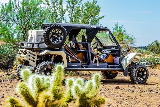 3 Hour Guided TomCar ATV Tour in Sonoran Desert - Rider Requirements