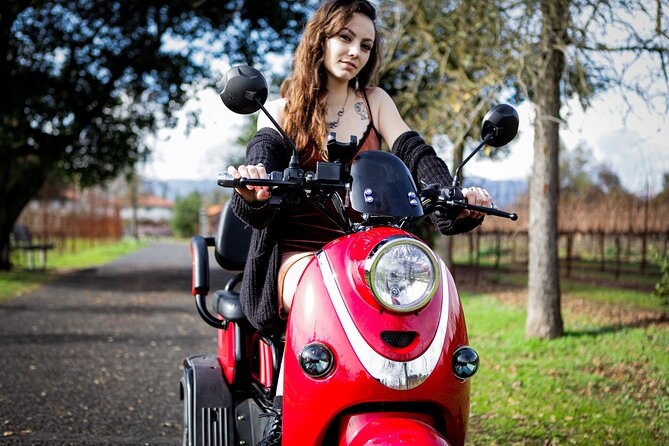 3-Hour Guided Wine Country Tour in Sonoma on Electric Trike - Inclusions