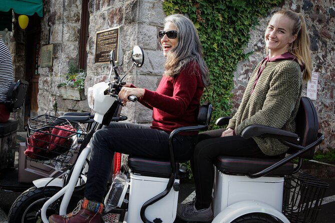 3-Hour Guided Wine Country Tour in Sonoma on Electric Trike - Easy-to-Operate Electric Tricycles