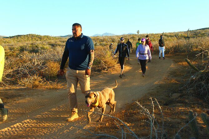 3 Hour Hiking Activity at the Hidden Arch Of Los Cabos - Frequently Asked Questions
