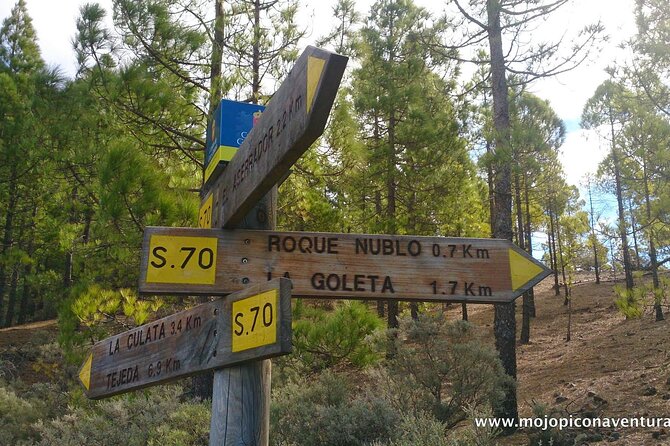 3-Hour Hiking Experience in Roque Nublo - Cancellation and Refund Policy