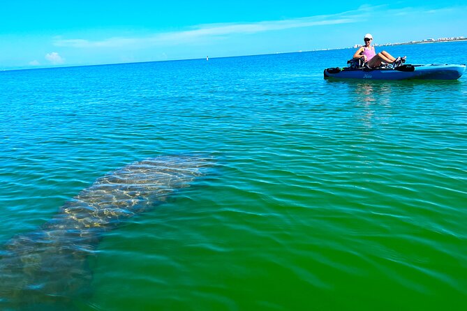 3 Hour Hobie Kayak Adventure In Bonita Springs - Key Points