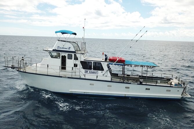 3-Hour Honolulu Bottom Fishing Adventure - Meeting Point and Pickup