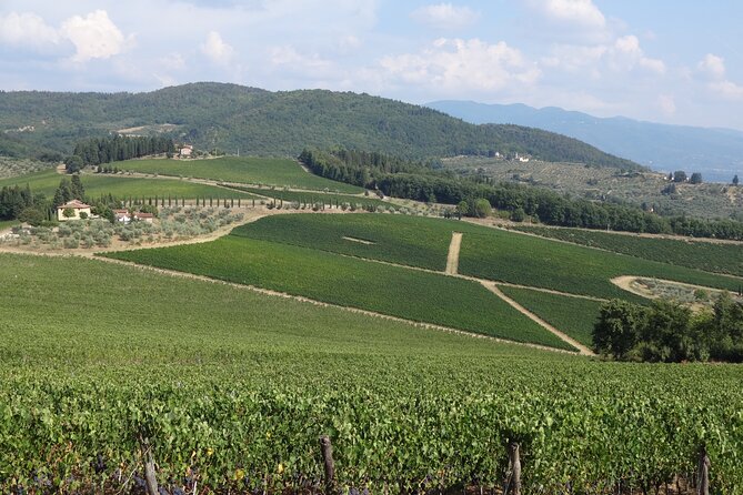 3 Hour Horse Ride to a Castle for Wine Tasting and Snack Lunch - Itinerary Details