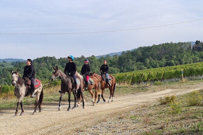 3 Hour Horse Ride to a Castle for Wine Tasting and Snack Lunch - Tuscan Light Lunch