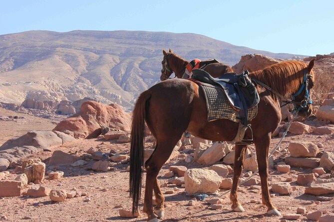 3 Hour Horse Riding Adventure Around the Petra Area - Pickup Locations and Times