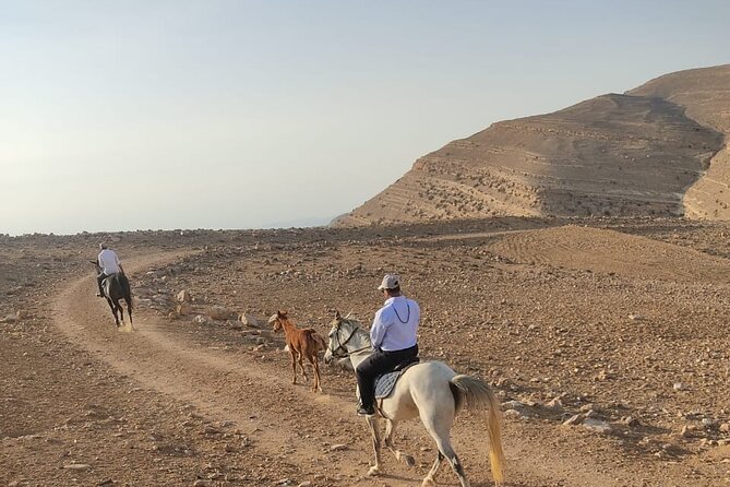 3 Hour Horse Riding Adventure Around the Petra Area - Booking Information
