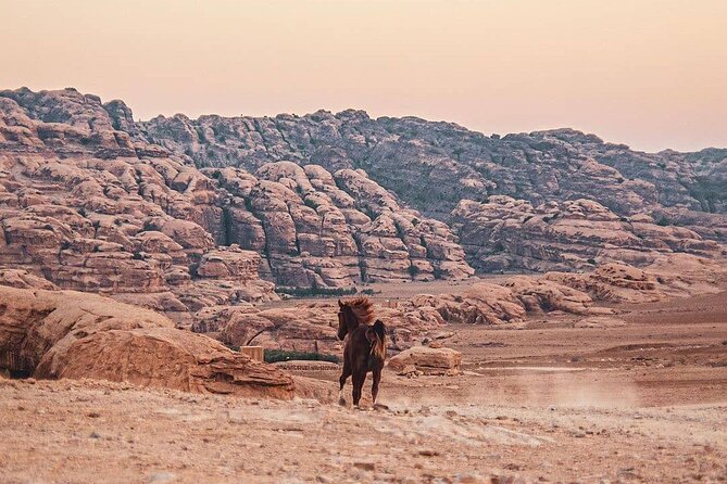 3 Hour Horse Riding Adventure Around the Petra Area - Customer Feedback and Ratings