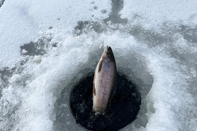 3 Hour Ice Fishing Experience - Accessibility and Group Size